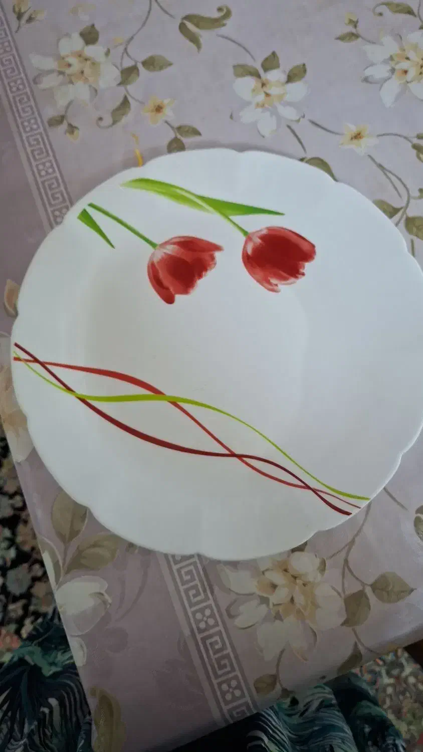 بشقاب ارکوپال|ظروف سرو و پذیرایی|مشهد, کارمندان دوم|دیوار