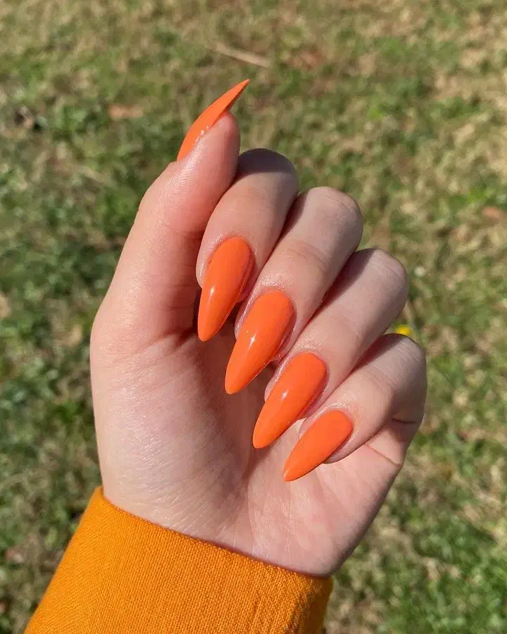 خدمات کاشت ناخن و آموزش همراه مدرک|خدمات آرایشگری و زیبایی|پاکدشت, پاکدشت (مامازند)|دیوار