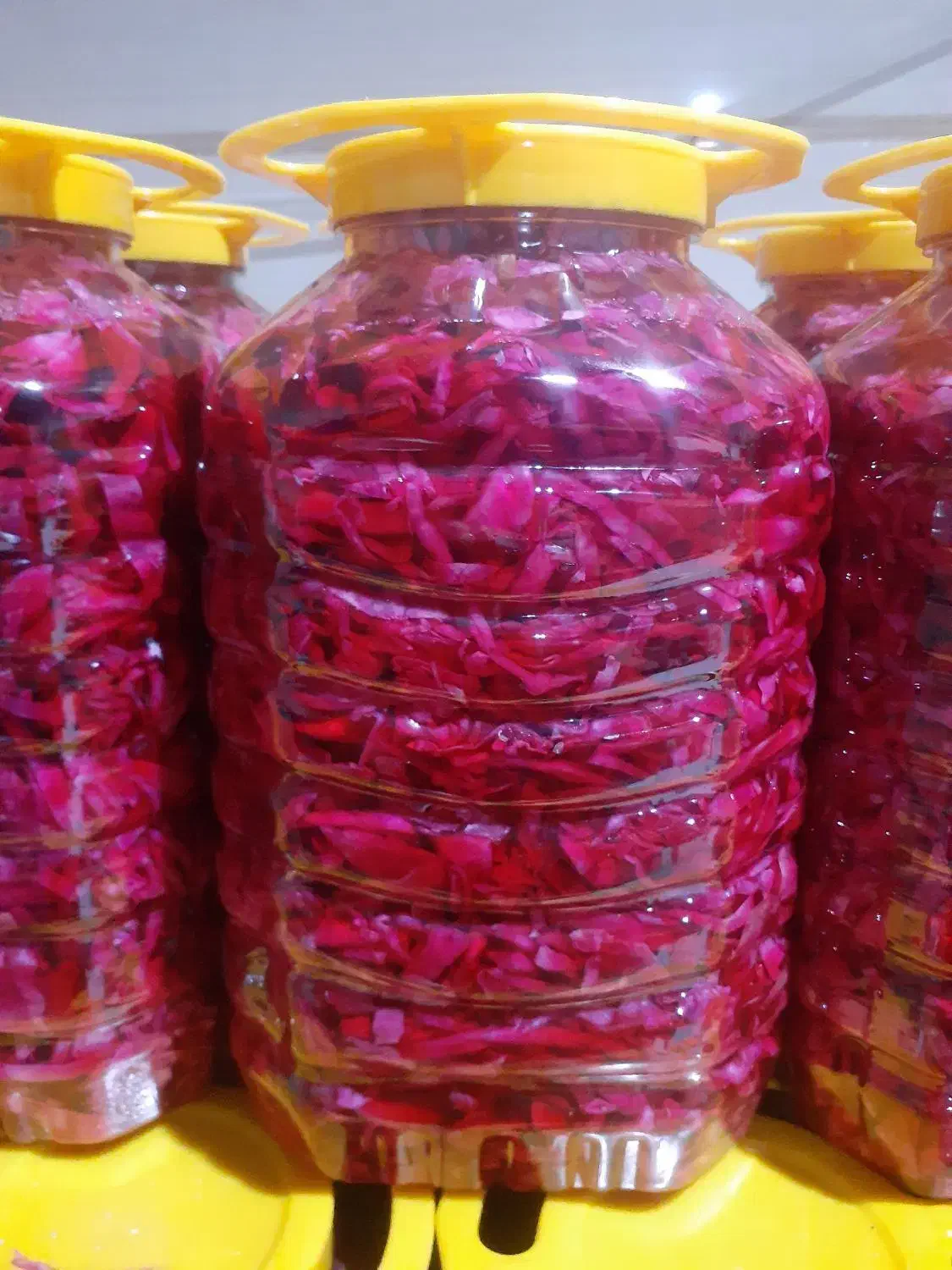 ترشی کلم قرمز|عمده‌فروشی|تهران, میدان میوه و تره‌بار مرکزی|دیوار