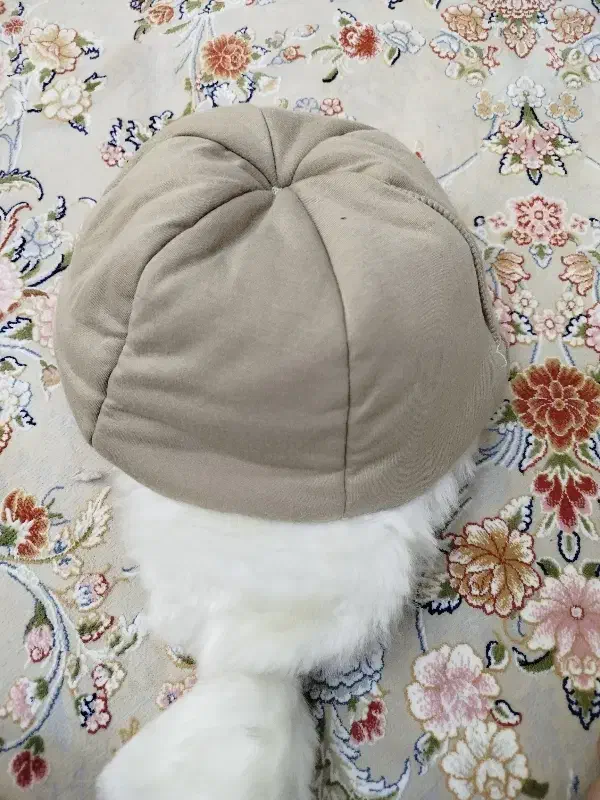 کلاه زمستونی|لباس|تهران, هفده شهریور|دیوار