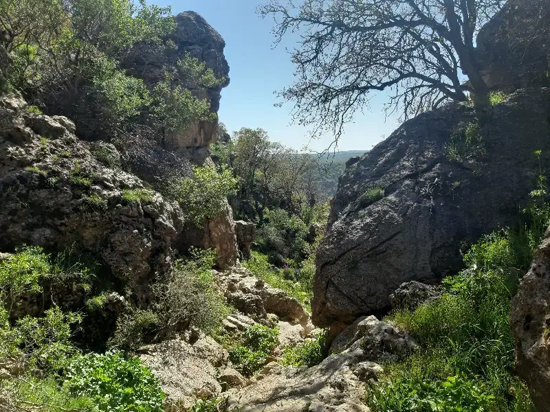 وام بانک ملی مهربانی ۴ درصد ۱۲ ماه|خدمات مالی، حسابداری، بیمه|سرپل ذهاب, |دیوار