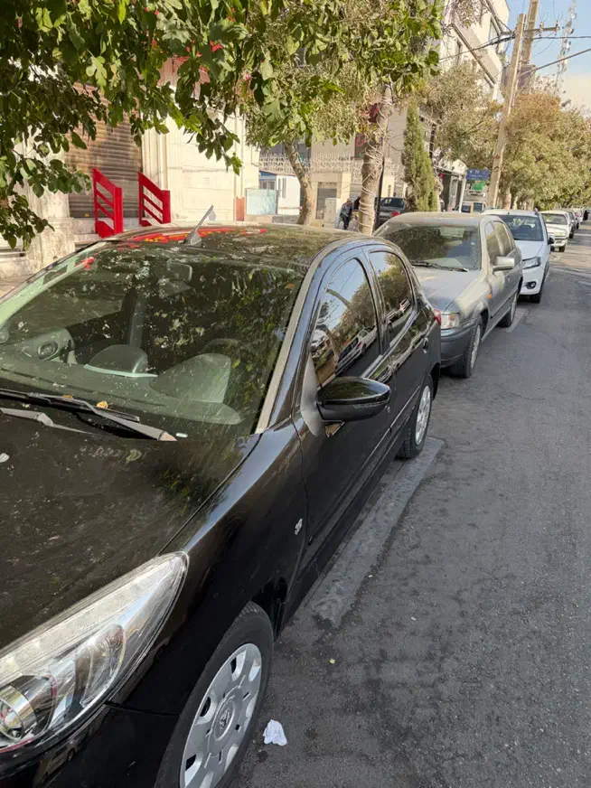 207 فرمون برقی ۱۴۰۲|خودرو سواری و وانت|شیراز, زند|دیوار