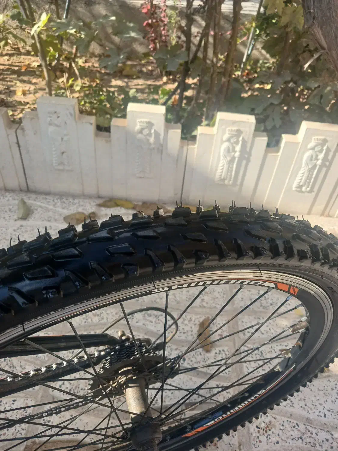 دوچرخه سایز ۲۴ دنده کلاجی لاستیک نو کبودرآهنگ|دوچرخه، اسکیت، اسکوتر|همدان, |دیوار