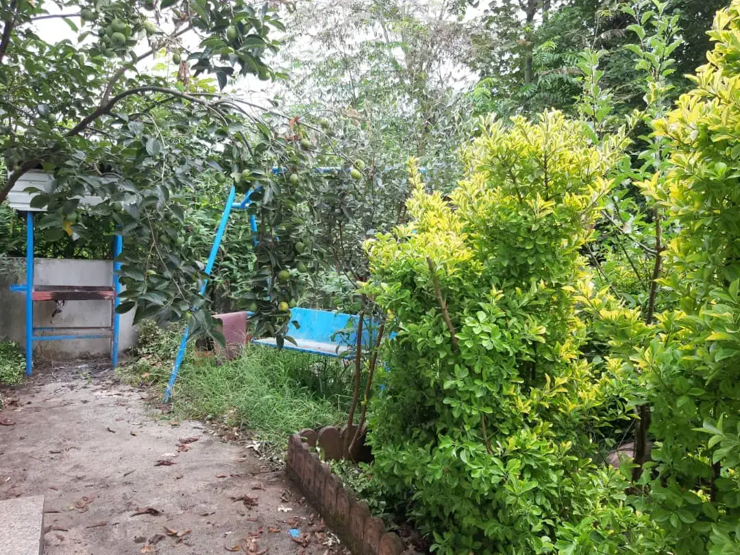 سویت مبله|اجارهٔ کوتاه‌مدت آپارتمان و سوئیت|رضوانشهر, |دیوار