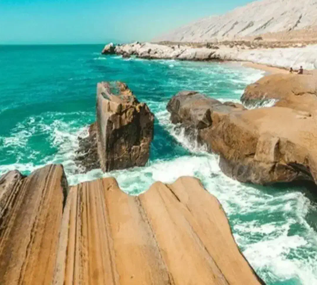 کیش.|تور و چارتر|تهران, سهروردی|دیوار