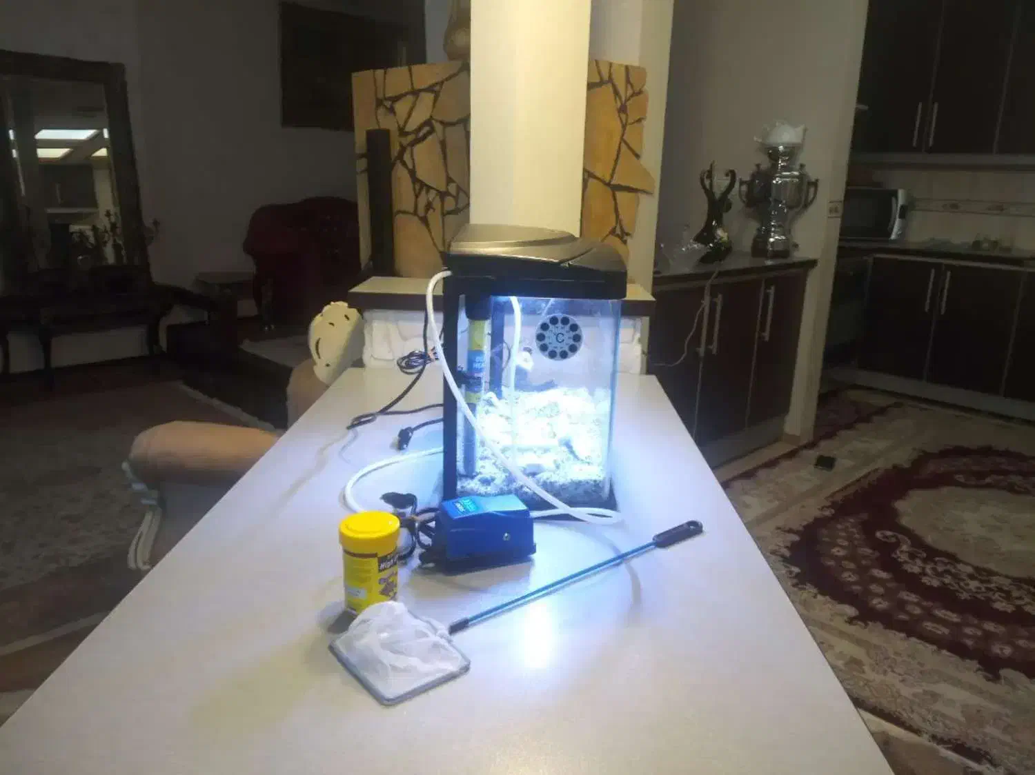 آکواریوم شرکتی شیشه خم|ماهی|فردیس, نگارستان|دیوار