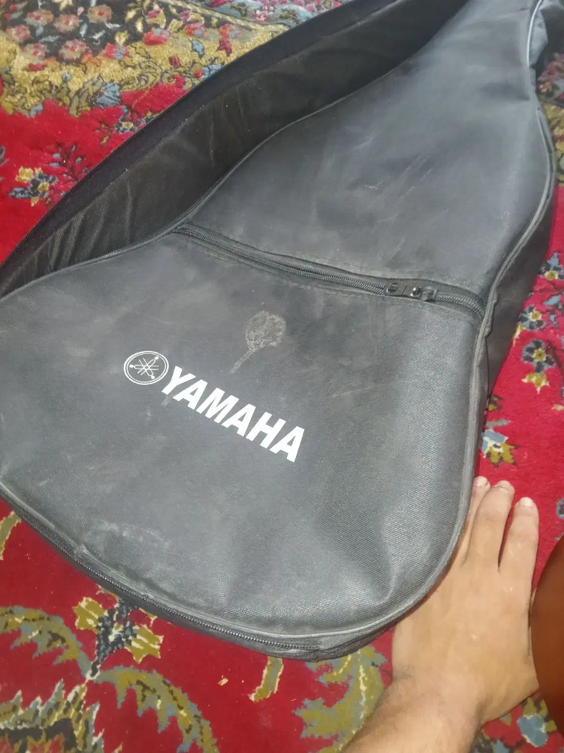 فروش گیتار درحد نو|گیتار، بیس، امپلیفایر|شاندیز, |دیوار