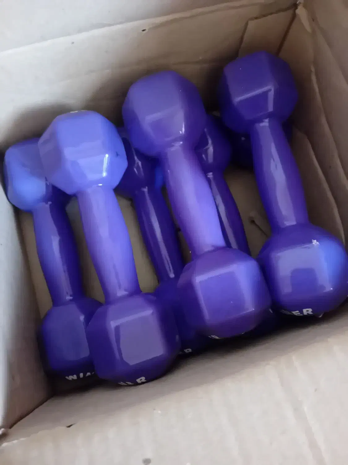 دمبل بانوان|تجهیزات ورزشی|رزن, |دیوار