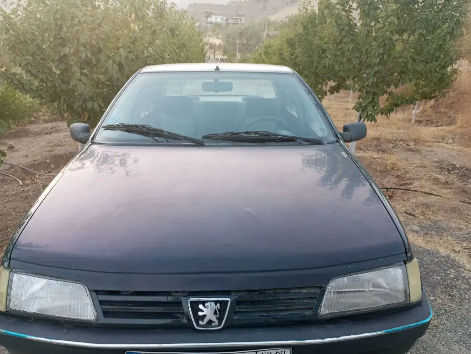 اردی مدل ۸۴|خودرو سواری و وانت|سنندج, |دیوار