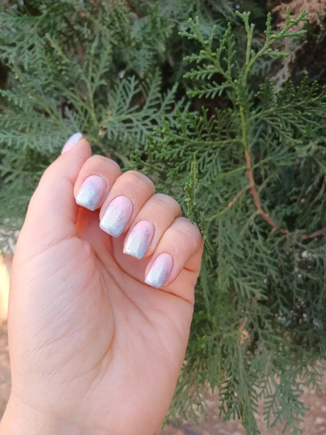 خدمات|خدمات آرایشگری و زیبایی|یزد, |دیوار