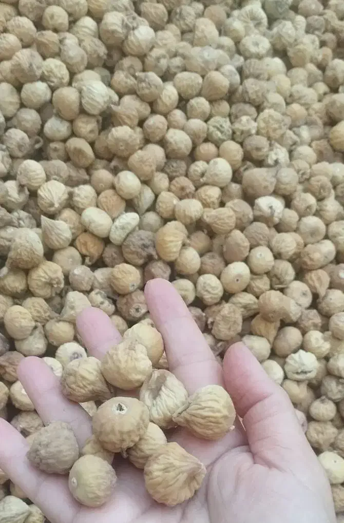 انجیر سالم وارگانیک تویسرکان|خوردنی و آشامیدنی|قم, شهرک امام حسن|دیوار