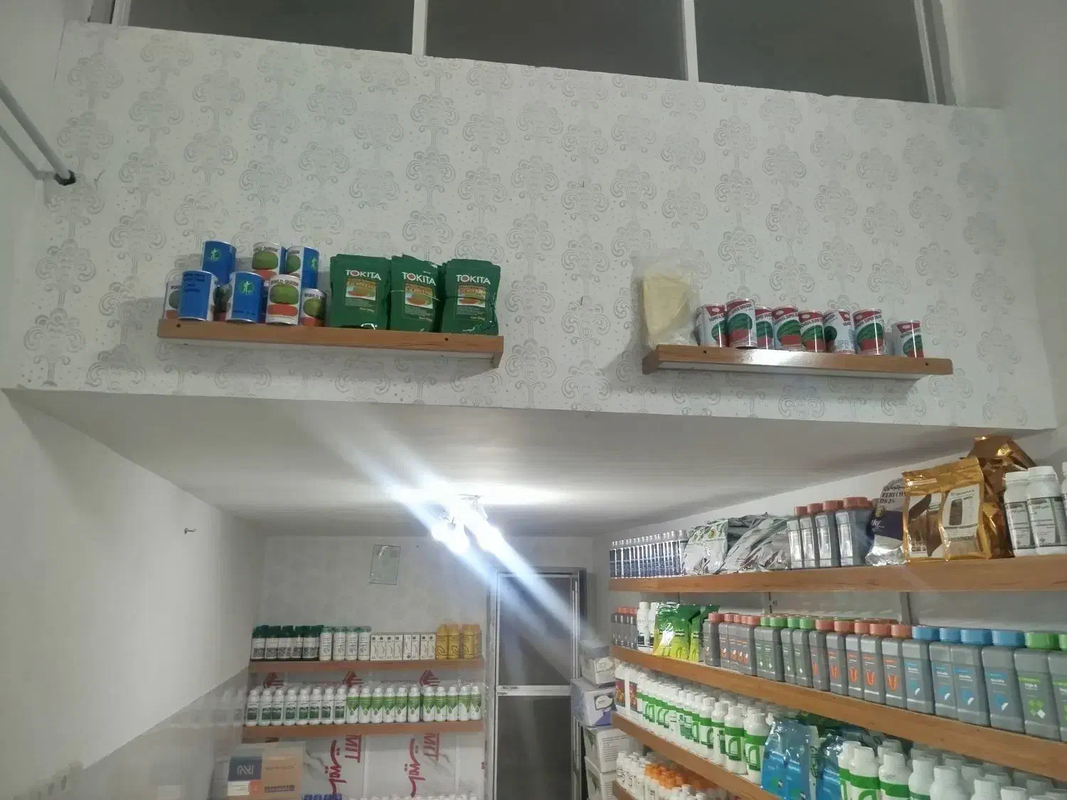 فروش بذر هندوانه|خدمات باغبانی و درختکاری|گنبد کاووس, |دیوار