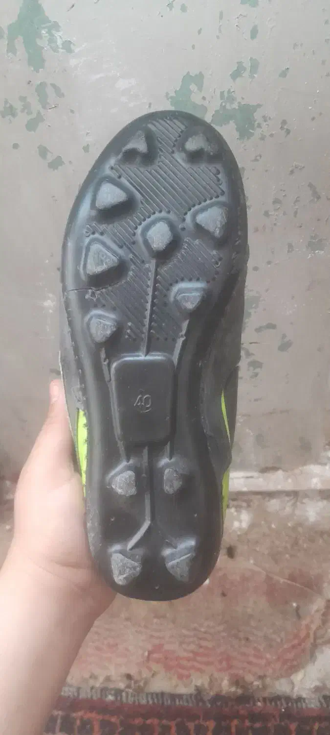 کفش چمنی|کیف، کفش، کمربند|طبس, |دیوار