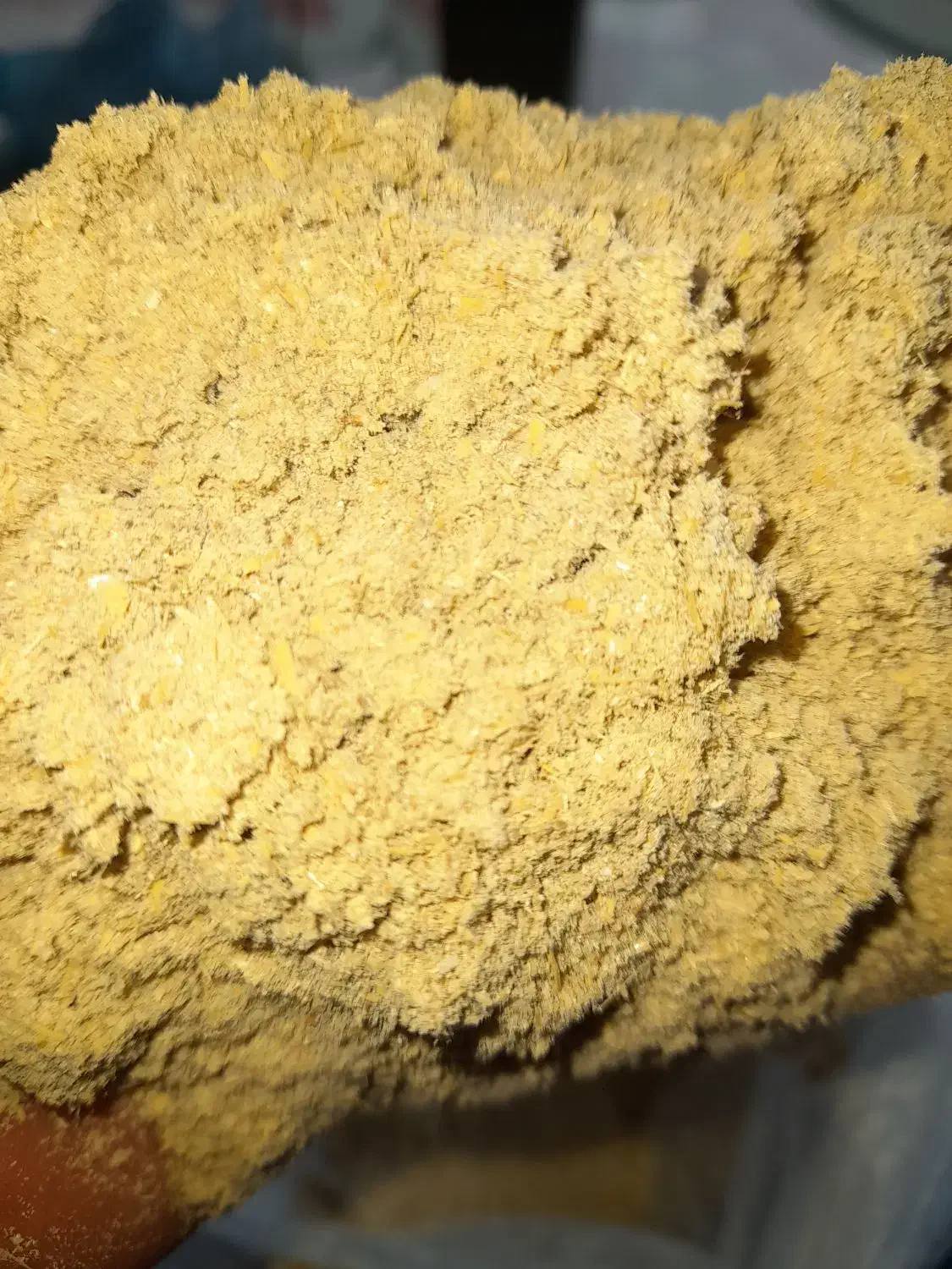 سبوس برنج|لوازم جانبی حیوانات|احمدسرگوراب, |دیوار