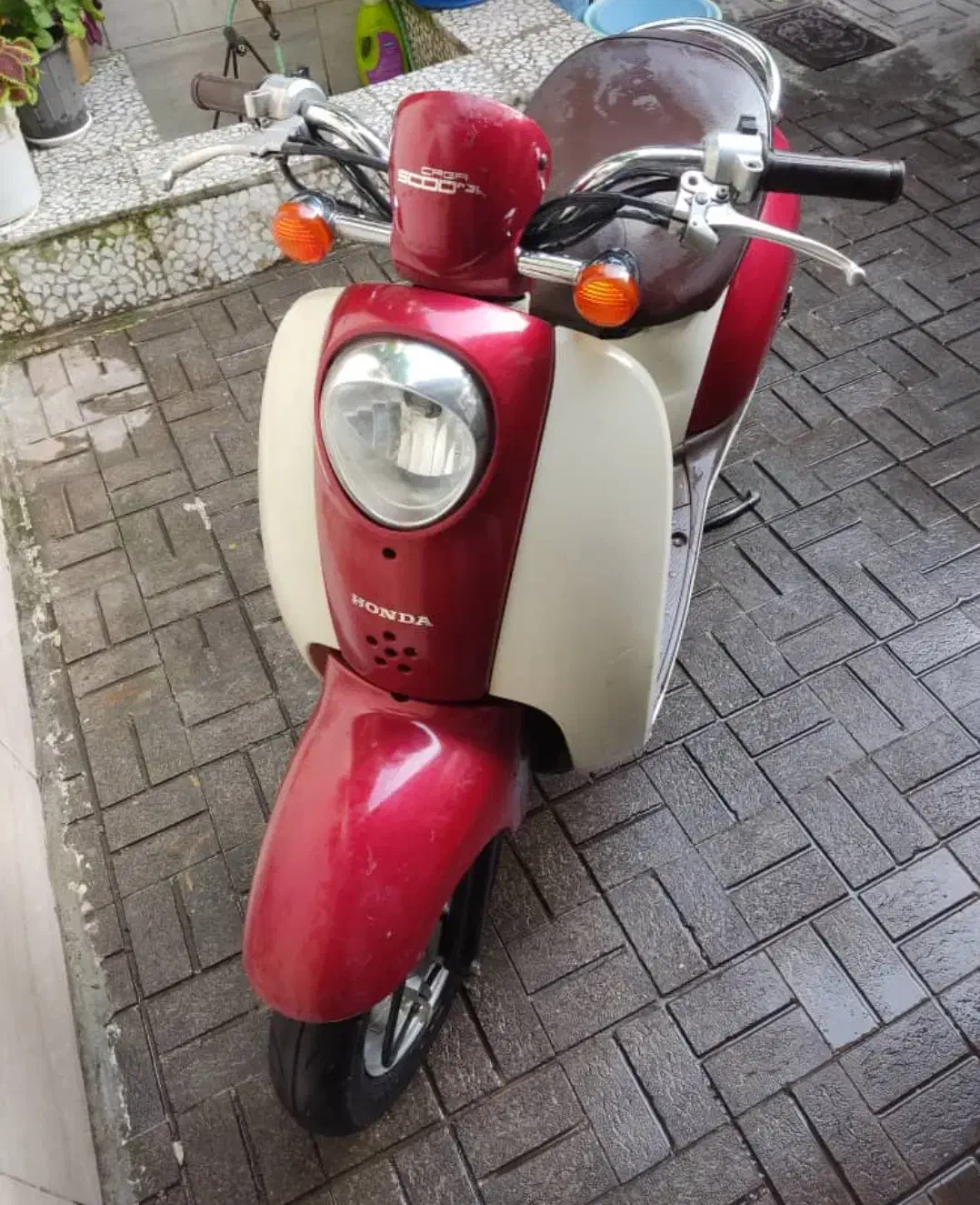 موتور پاکشتی|موتورسیکلت|رشت, کوی بیانی|دیوار