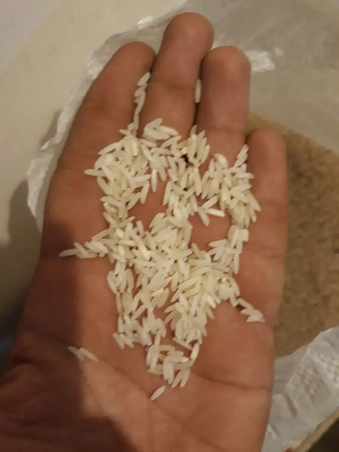 برنج طارم هاشمی|خوردنی و آشامیدنی|آزادشهر, |دیوار