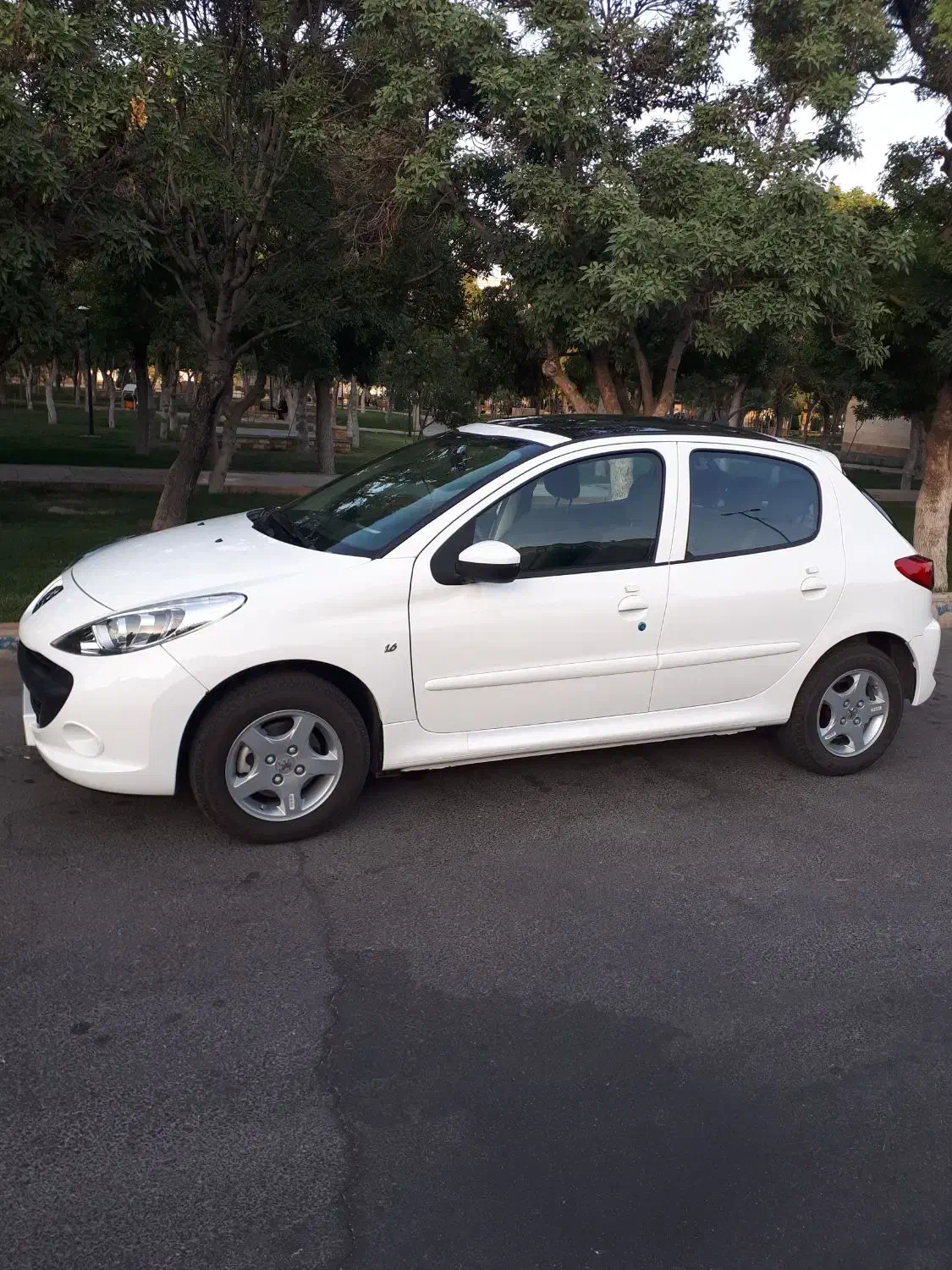 207 پانوراما ارتقا یافته|خودرو سواری و وانت|اراک, |دیوار