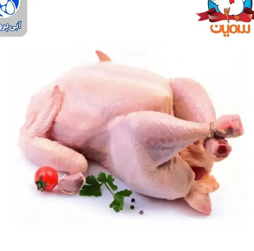 عرضه مرغ دولتی|حیوانات مزرعه|محمدیه-قزوین, |دیوار