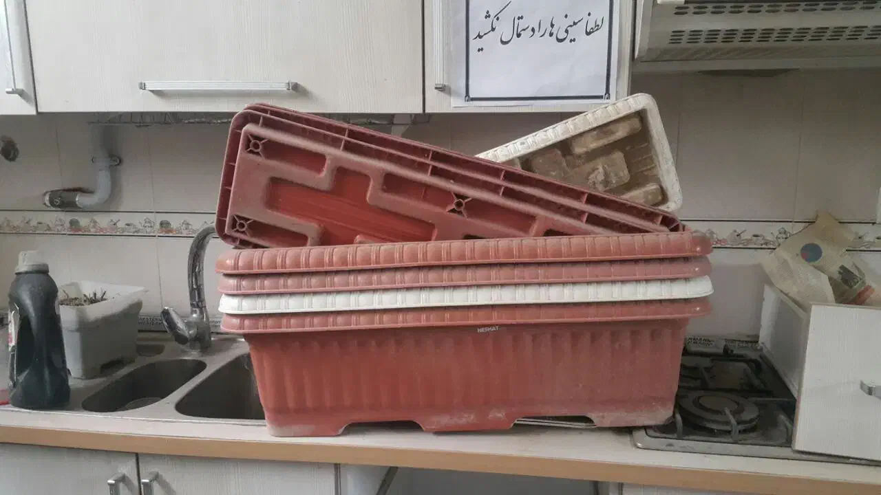باکس گلدان|گل و گیاه طبیعی|تهران, مخصوص|دیوار