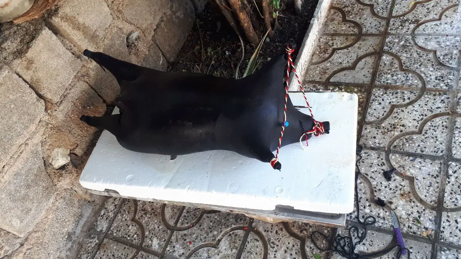 مشک اب|صنایع دستی و سایر لوازم تزئینی|آبدانان, |دیوار