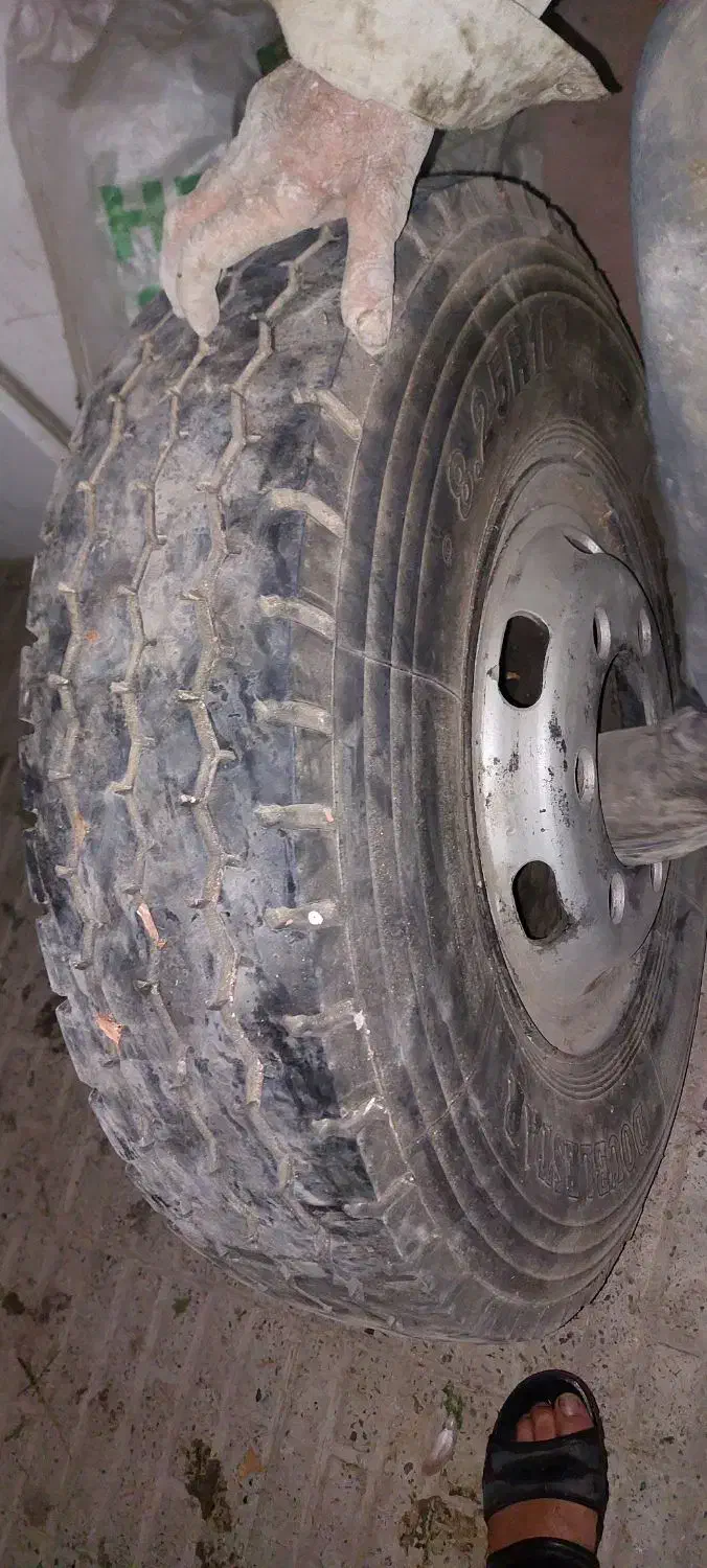 توافقی داوطلبانه|فعالیت داوطلبانه|محمدشهر, همایون ویلا|دیوار