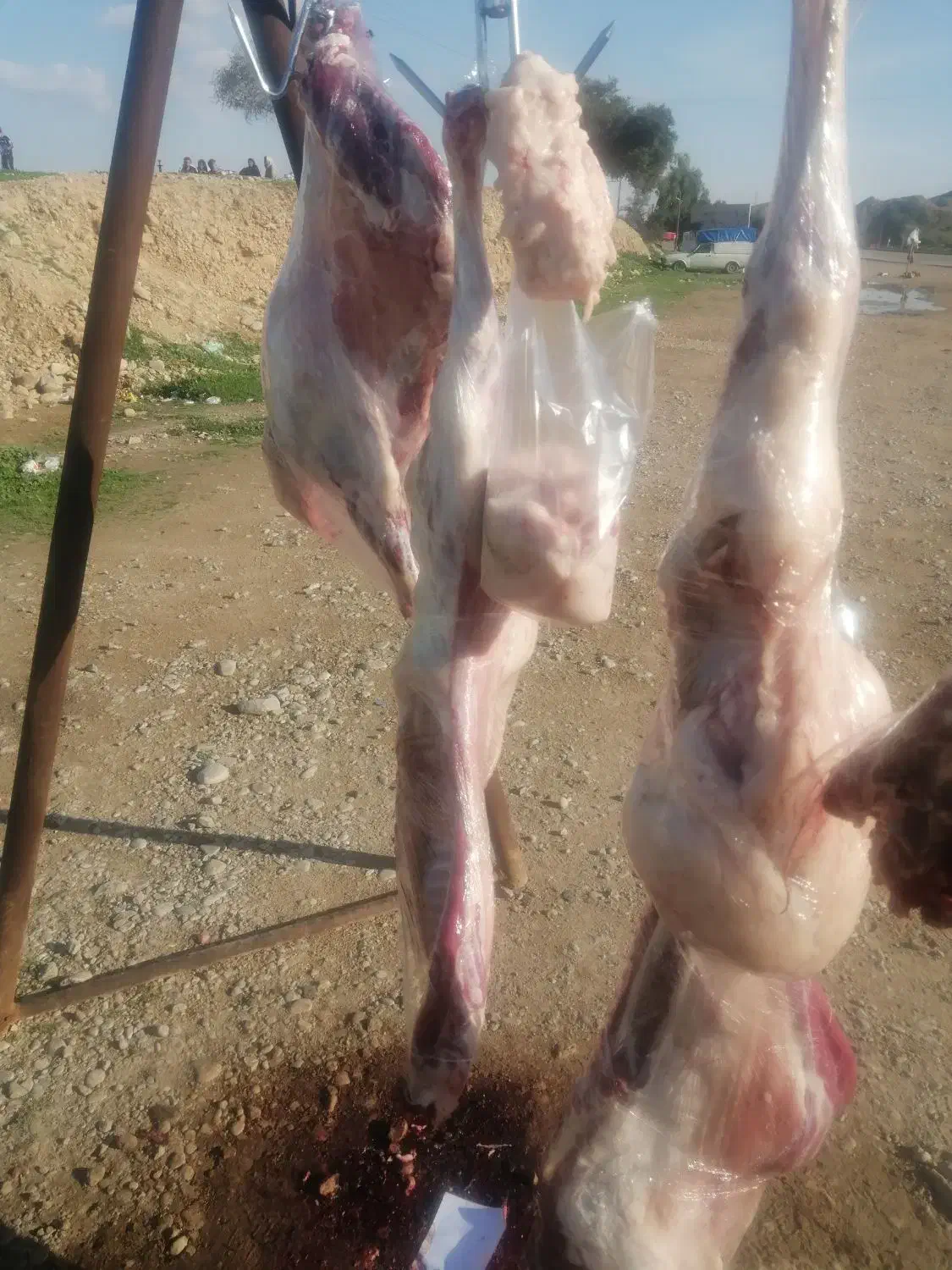 گوشت بره پرواری|خوردنی و آشامیدنی|مسجد سلیمان, |دیوار