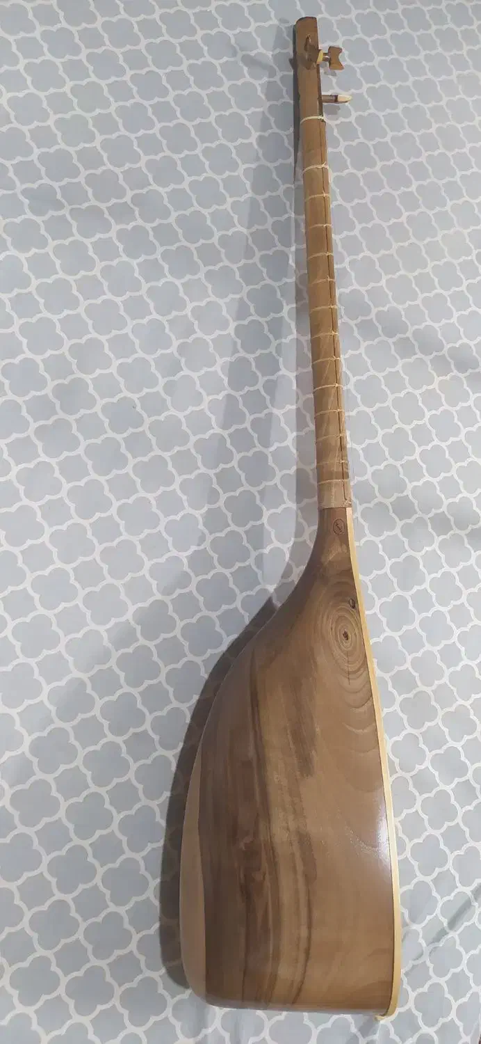 تنبور کشکول دو مهر|سازهای سنتی|ملایر, |دیوار