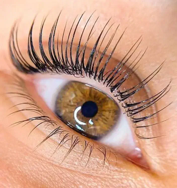 لیفت لمینت ابرو کاشت تمامی مدل هایه مژه|خدمات آرایشگری و زیبایی|تربتحیدریه, کاشانی|دیوار