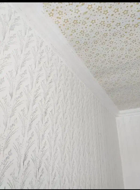 طرح کاغذ دیواری با رنگ|خدمات پیشه و مهارت|اشنویه, |دیوار