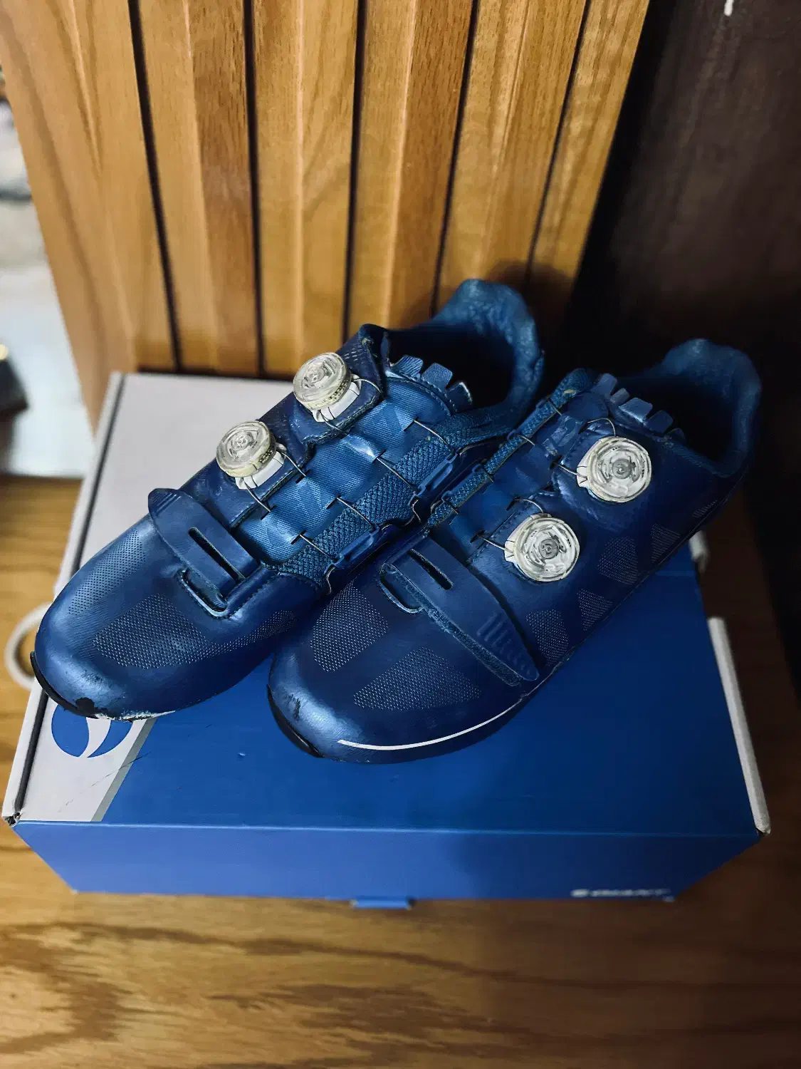 کفش دوچرخه سواری جاینت مدل surge|دوچرخه، اسکیت، اسکوتر|محمدشهر, همایون ویلا|دیوار