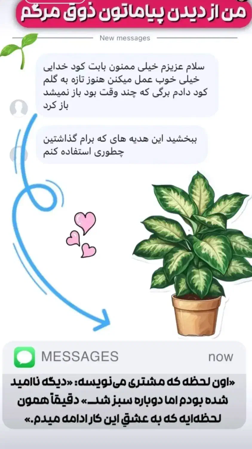 قرص کود|گل و گیاه طبیعی|رشت, پل تالشان|دیوار