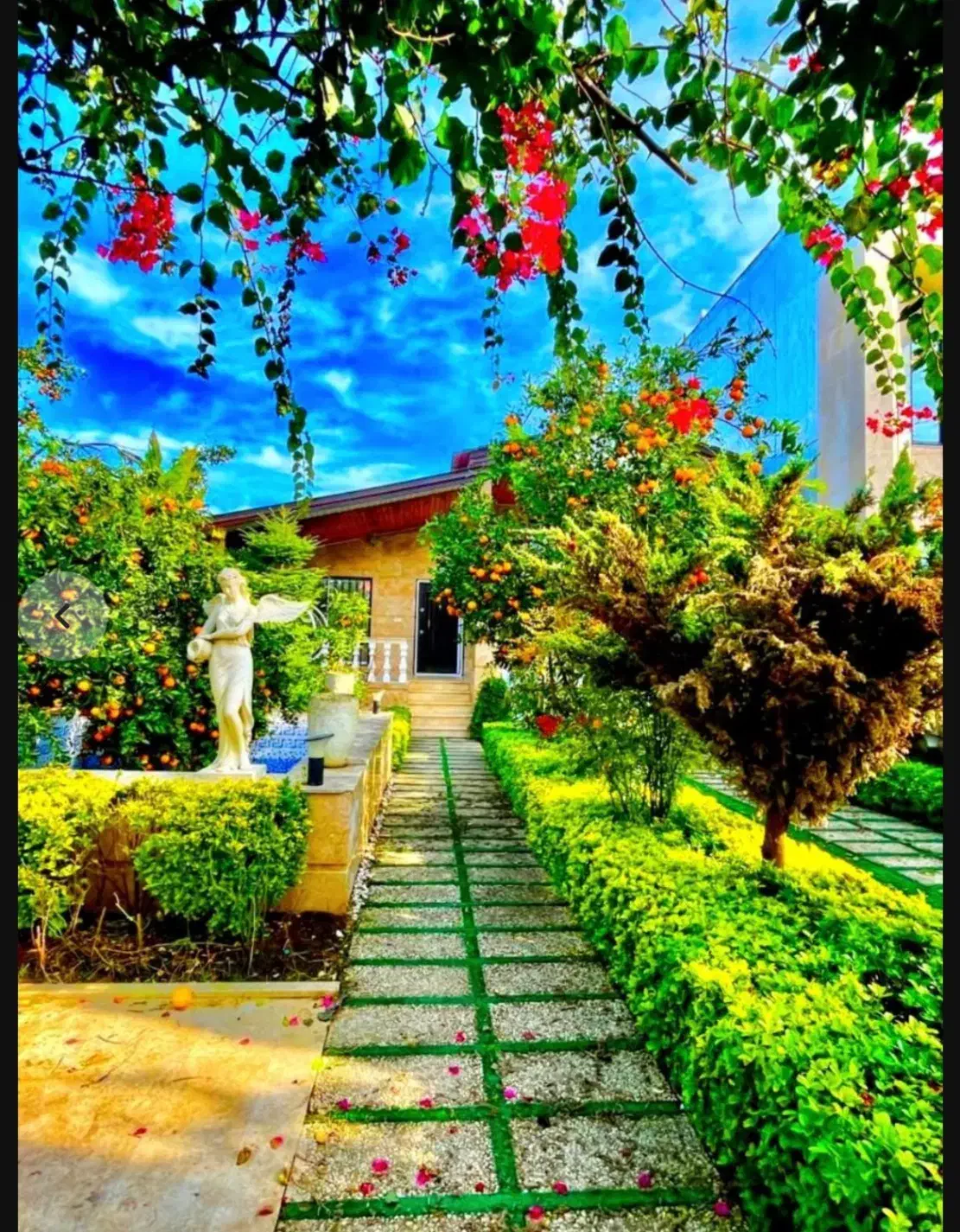 *700میلیون زیرقیمت*باغ جنگلی کوهستانی/پردرخت میوه|فروش خانه و ویلا|امامزاده عبدالله, |دیوار