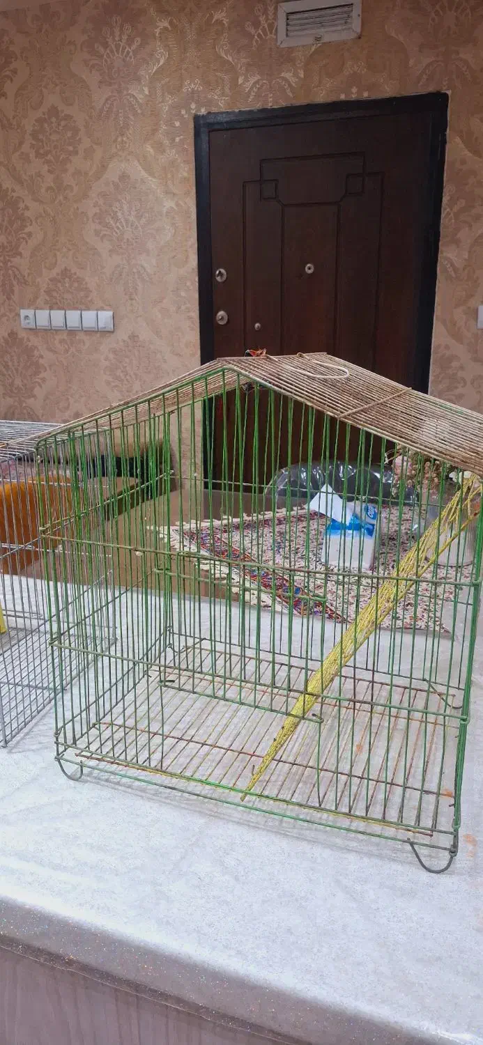 قفس|لوازم جانبی حیوانات|اهواز, نادری|دیوار