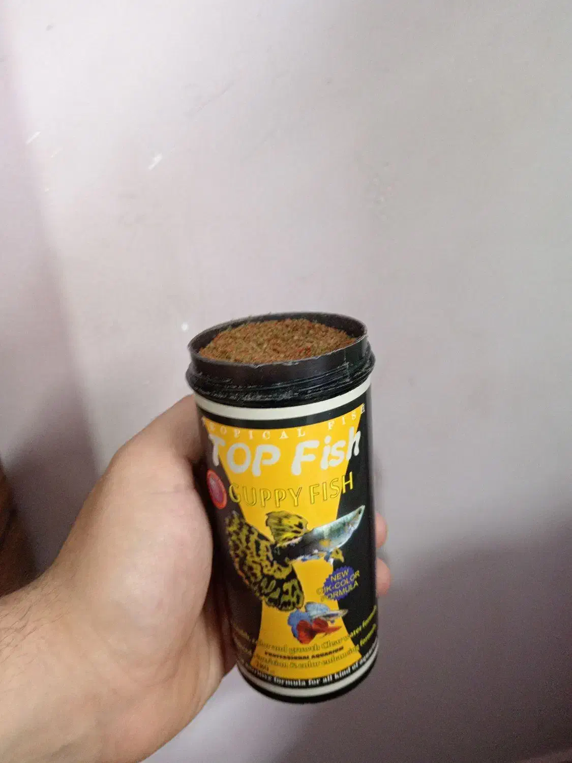 غذای ماهی|ماهی|کازرون, |دیوار