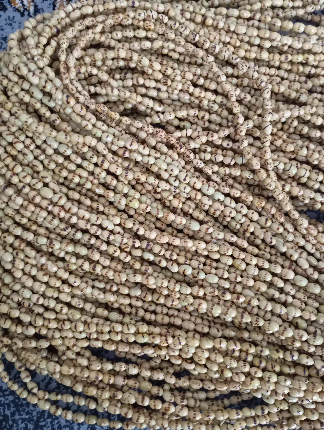 تسبیح قزوان|بدلیجات|مریوان, |دیوار