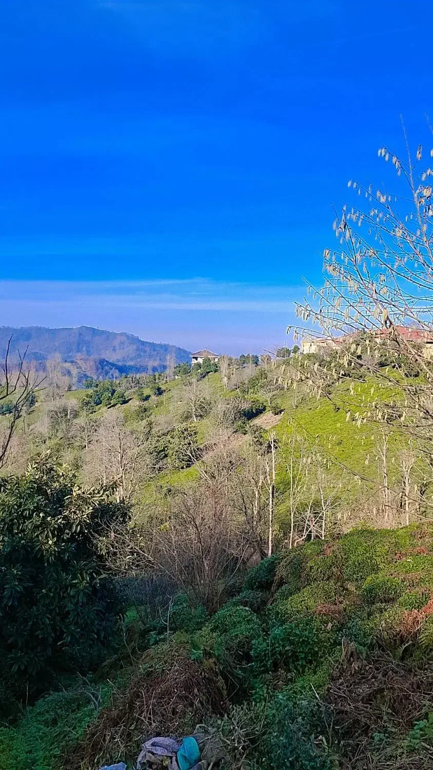 باغی|فروش زمین و ملک کلنگی|رانکوه, |دیوار