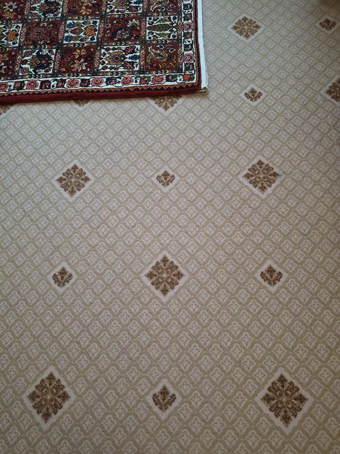 موکت|موکت|اصفهان, شفق|دیوار