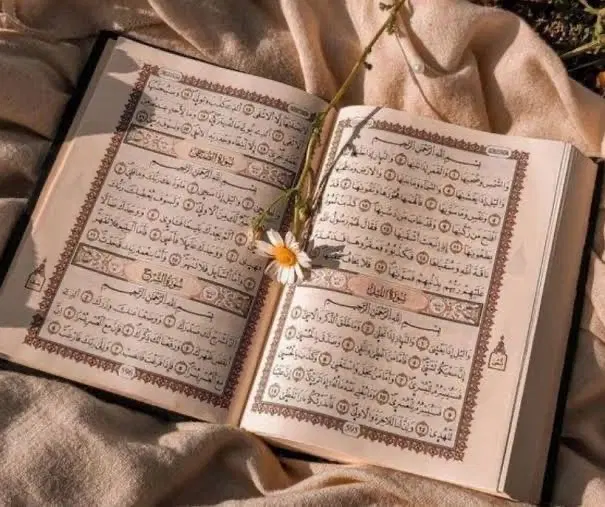 کتاب قرانی|کتاب و مجله مذهبی|شیراز, سینما سعدی|دیوار