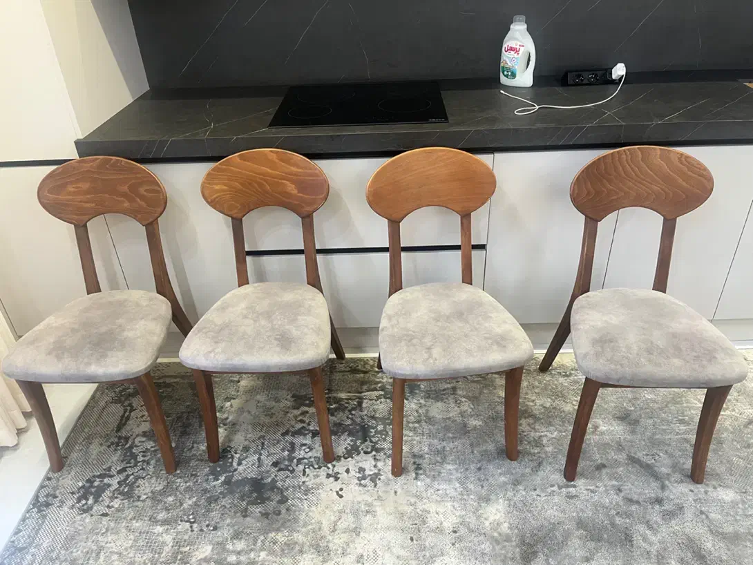 صندلی ناهارخوری برند فاما|میز و صندلی غذاخوری|رشت, حسین آباد|دیوار