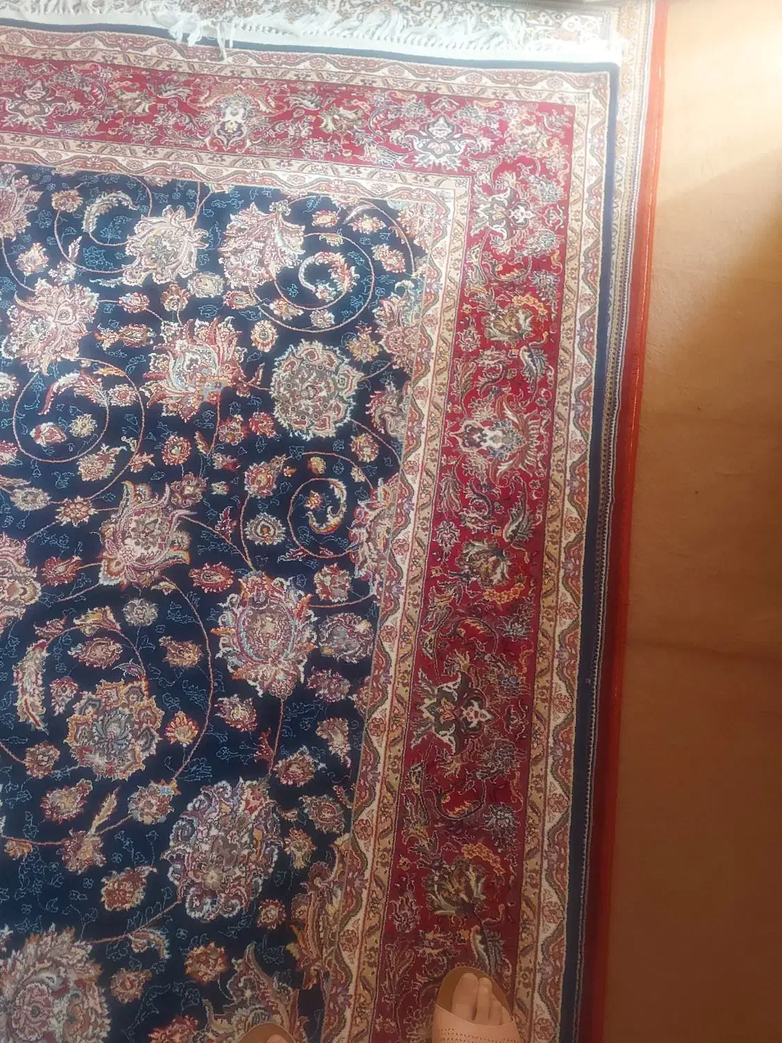 فرش ۶متری|فرش|کرج, کوی کارمندان جنوبی|دیوار