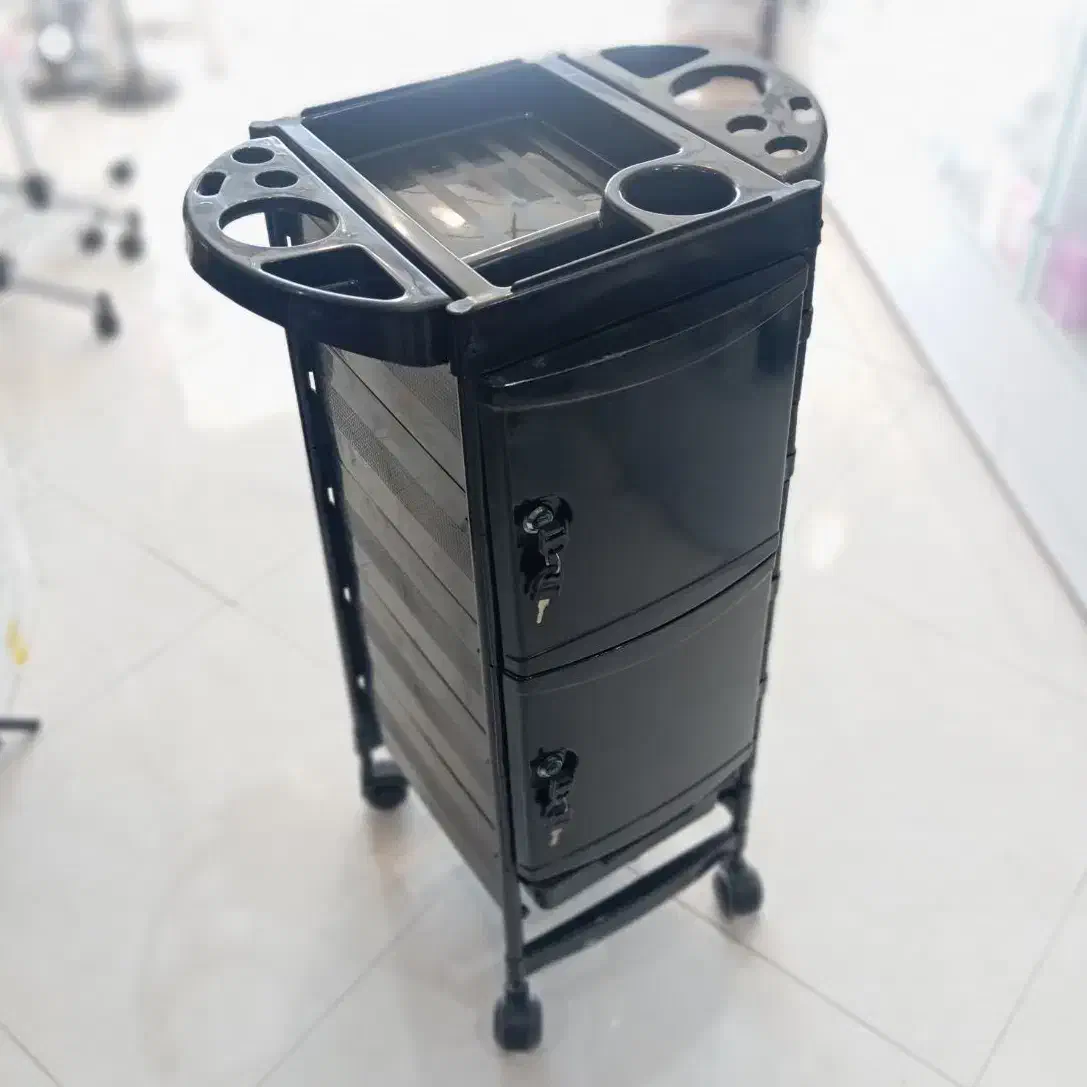 انواع ترولی (ساده کلاسیک، درب دار )|آرایشگاه و سالن‌های زیبایی|مشهد, ولیعصر (شهرک غرب)|دیوار