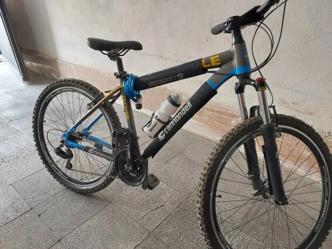 دوچرخه تنه آلومینیوم|دوچرخه، اسکیت، اسکوتر|هشتگرد, شهرک گلها|دیوار