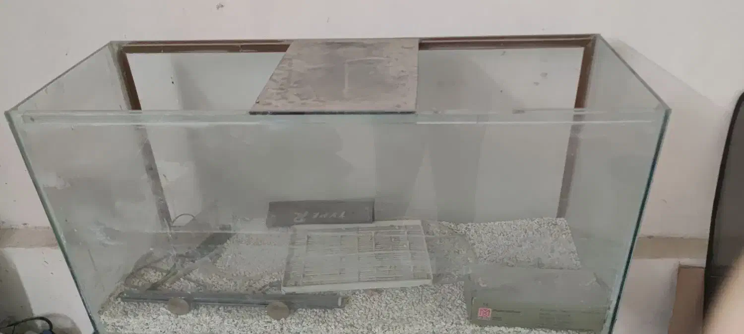 آکواریوم همراه با شن و ماسه|ماهی|برازجان, |دیوار