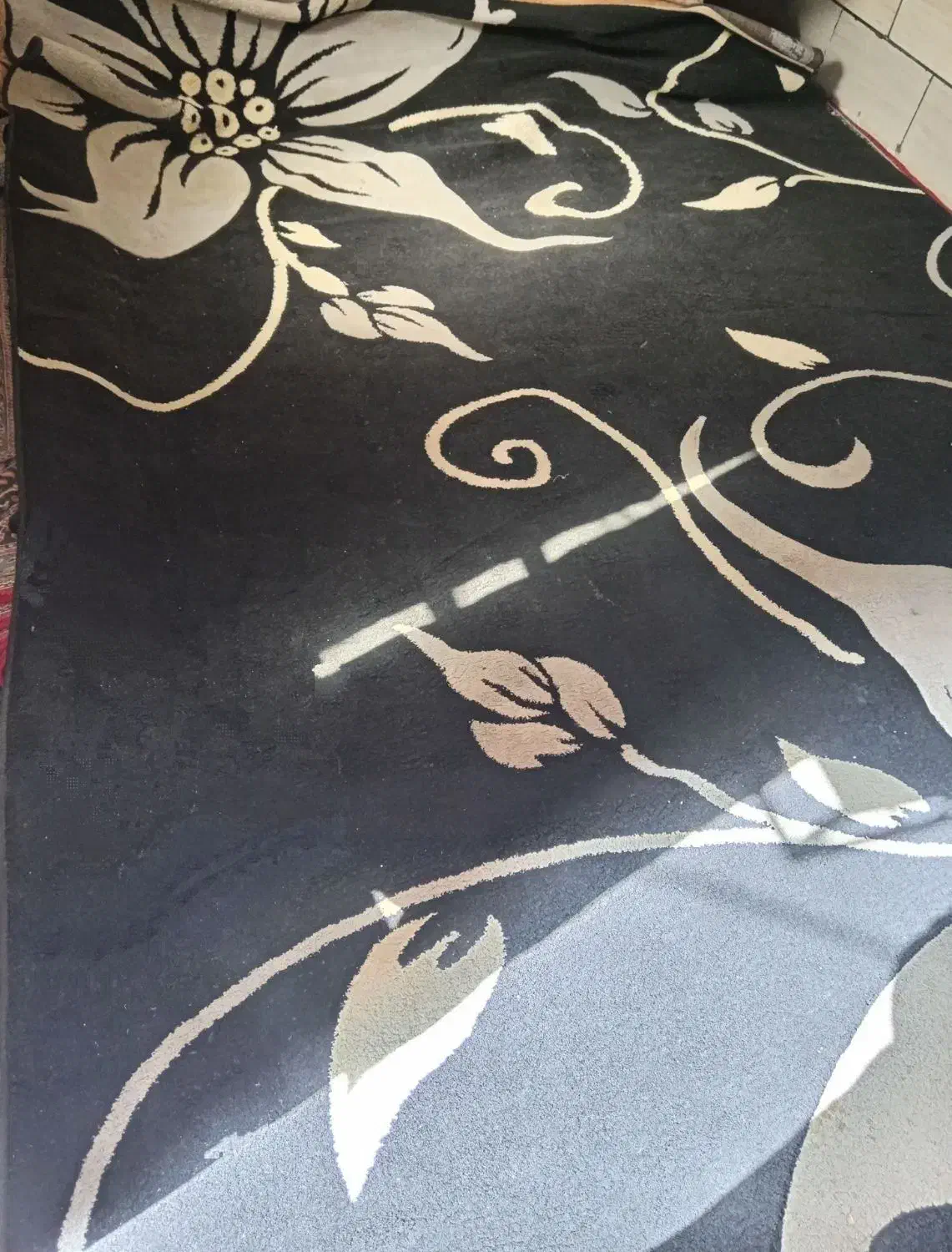 قالی 12متری|فرش|بندر ماهشهر, |دیوار