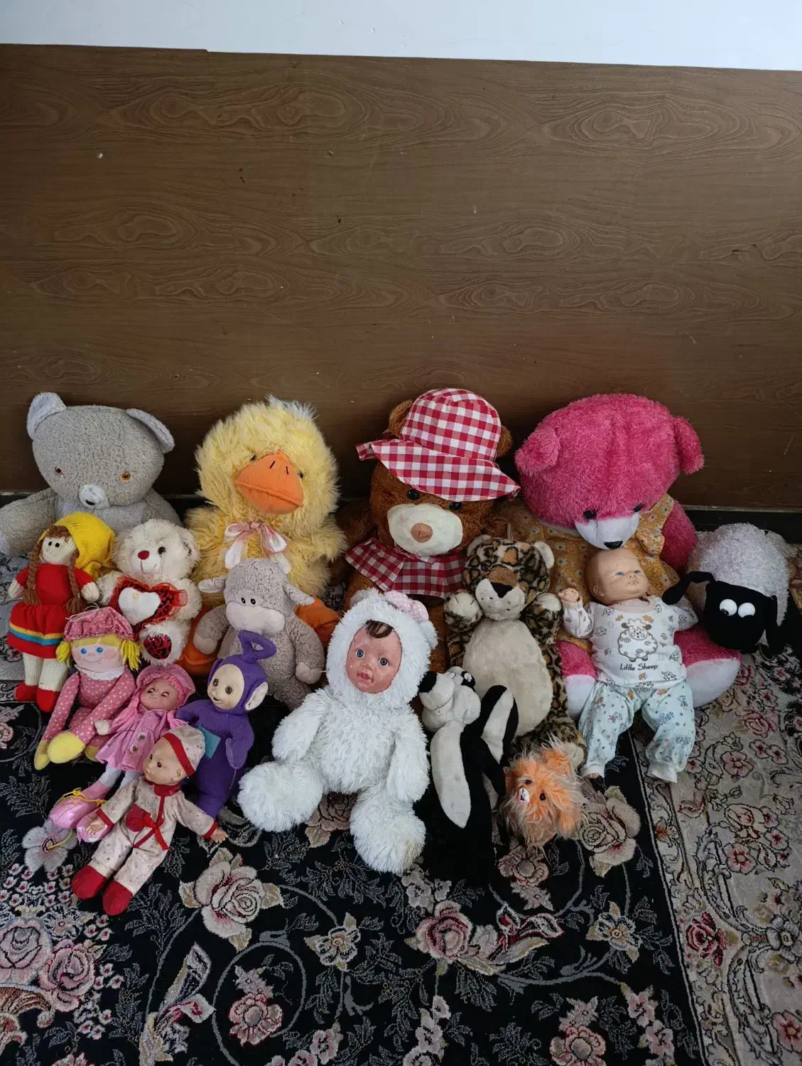 عروسک|اسباب‌‌بازی|یاسوج, |دیوار