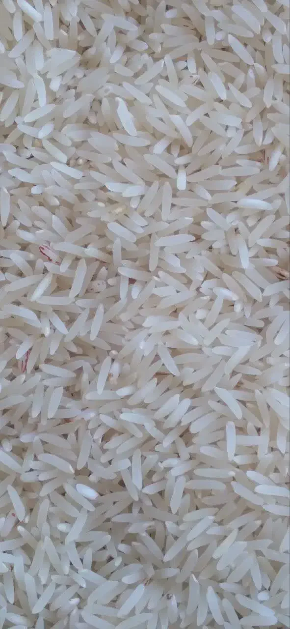 فروش برنج فجر آبیاری شده با آب چشمه|خوردنی و آشامیدنی|نوده خاندوز, |دیوار