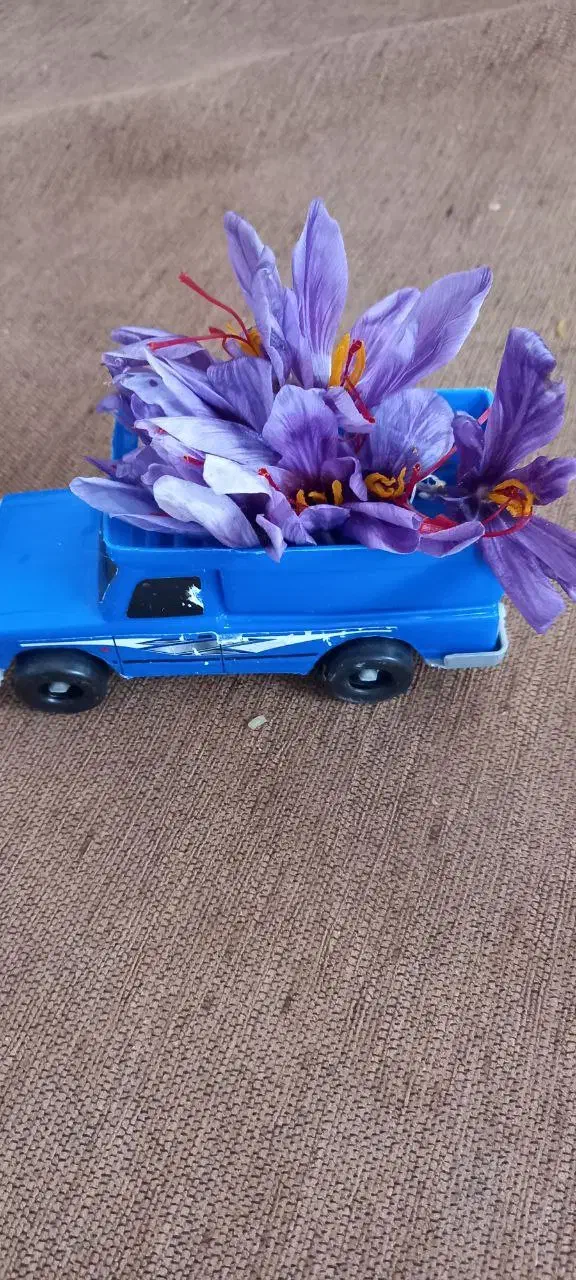 زعفران سرگل پوشال|خوردنی و آشامیدنی|تهران, دانشگاه شریف|دیوار