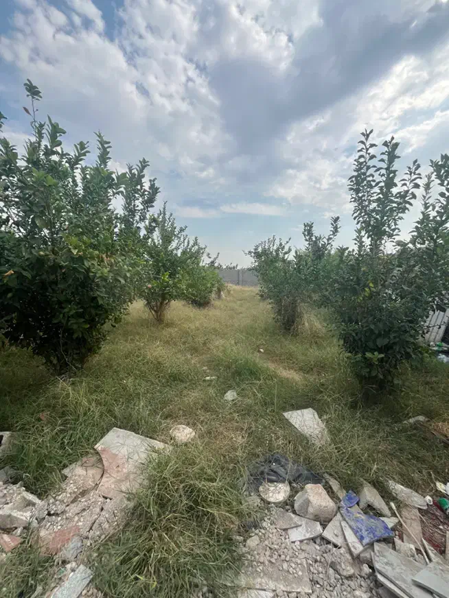 باغچه 850 متری لوکس در جاده منتظران|فروش آپارتمان|دزفول, |دیوار