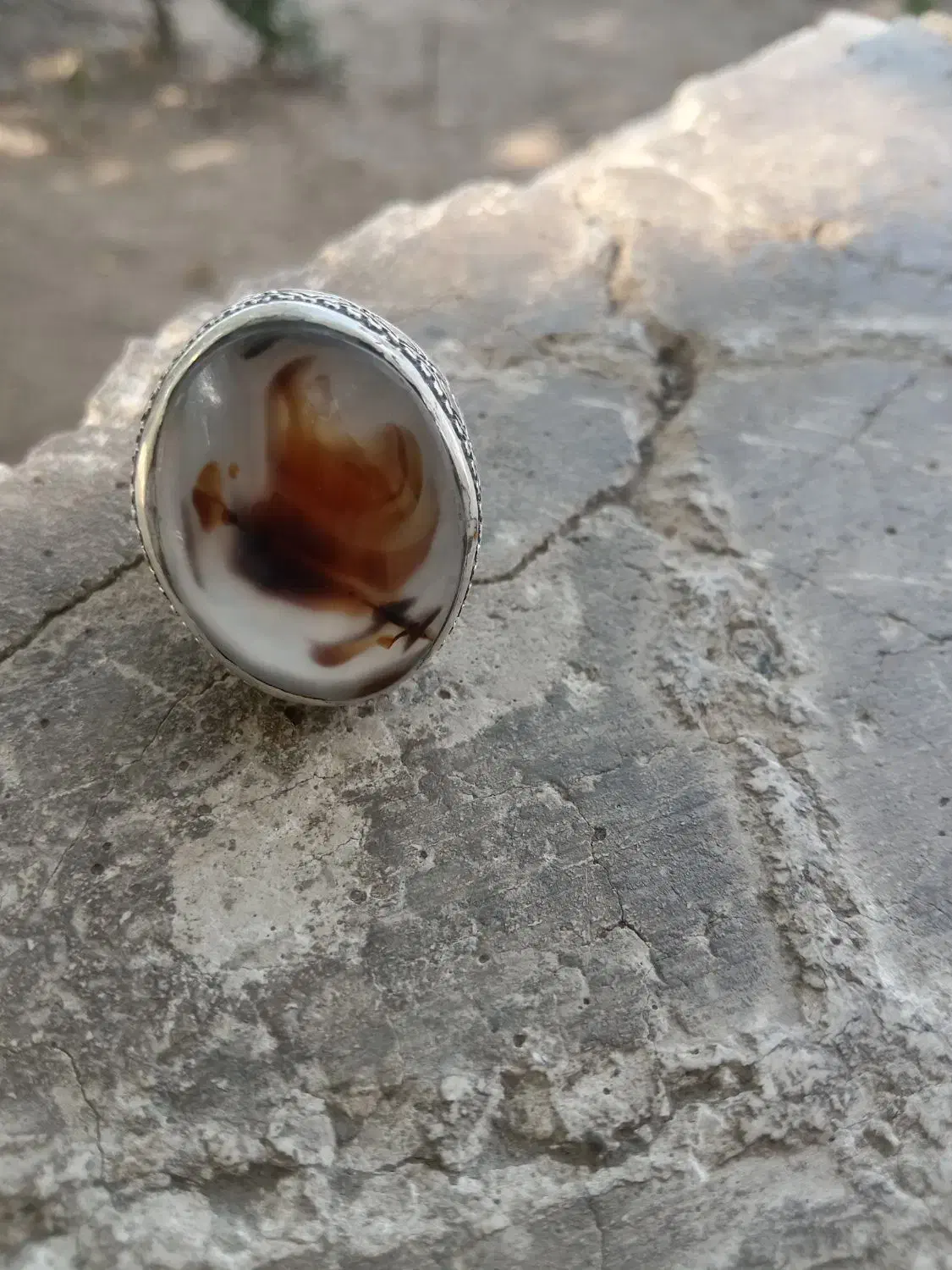 شجر|جواهرات|بیرجند, |دیوار