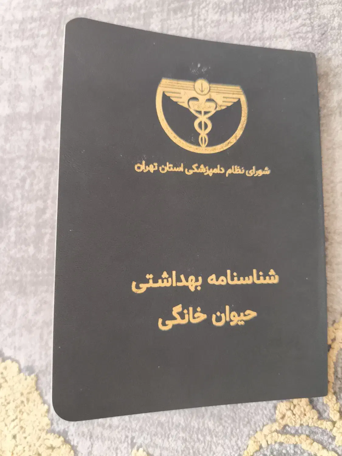 سگ پامر 3ماهه رنگ کاراملی بسیار بازیگوش|سگ|ورامین, ورامین|دیوار